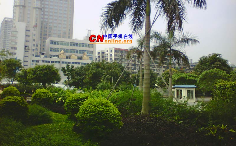 点击查看大图